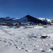 Albiez-Montrond 15/02/2021