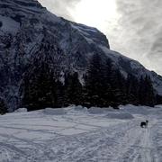 Mont Saxonnex 16/02/2021