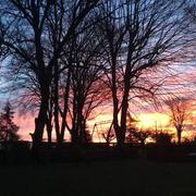 Le Travet 18/02/2021