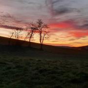 Peyrouzet 19/02/2021