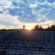 La Brède 19/02/2021