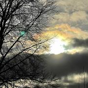 Ferrières-Saint-Hilaire 19/02/2021