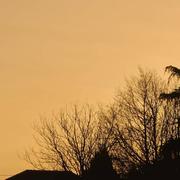 Saint-Gence 21/02/2021