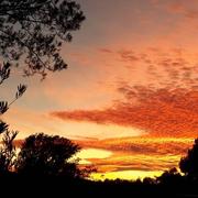 Castillon-du-Gard 25/02/2021