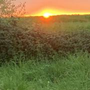 Sauveterre-de-Béarn 08/03/2021