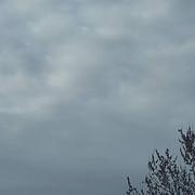 Cavaillon 11/03/2021