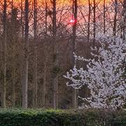 Beauregard-Baret 13/03/2021