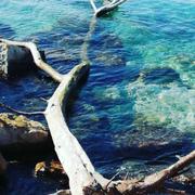 Plage du Port de la Madrague 14/03/2021