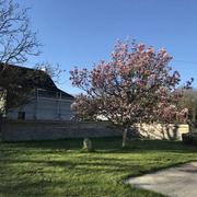 Clohars-Carnoët 17/03/2021