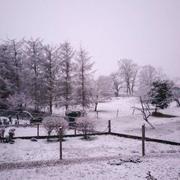 Varennes-sur-Allier 19/03/2021