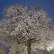 Loubeyrat 19/03/2021