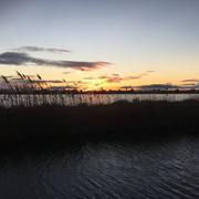 Aigues-Mortes 21/03/2021