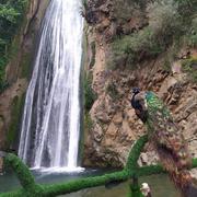 Aïn Kechra 21/03/2021