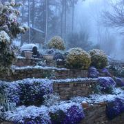 Montfranc 22/03/2021