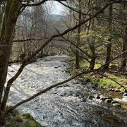 Sainte-Sigolène 22/03/2021