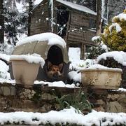 Montfranc 23/03/2021