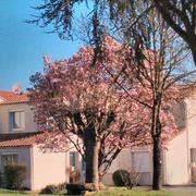 Saint-Germain-de-Prinçay 23/03/2021