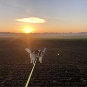 Bouquetot 24/03/2021