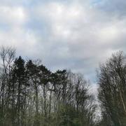 Saint-Dizier 27/03/2021