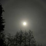 Auchy-lès-Hesdin 28/03/2021