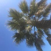 Gratentour 29/03/2021