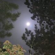 Sallertaine 30/03/2021