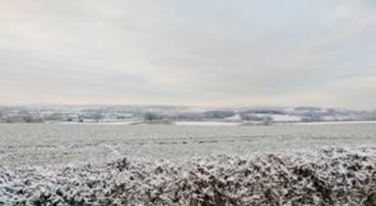 Quand La Neige A Recouvert La Plaine