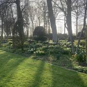 Maizicourt 05/04/2021