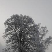 Saint-Aubin-Épinay 07/04/2021