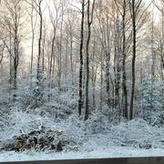 Avernes-sous-Exmes 07/04/2021