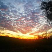 Le Grand-Serre 09/04/2021