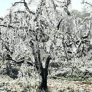 Montauban 12/04/2021