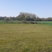 Fay-de-Bretagne 14/04/2021