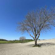 La Chapelle-Gonaguet 15/04/2021