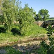 Saint-Thibéry 17/04/2021