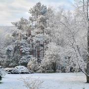 Dampierre 17/04/2021