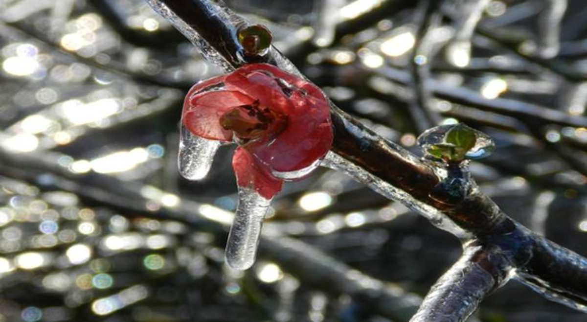 Neem een bevriezing op in deze maand april, en het zal misschien nooit eindigen! Neem een bevriezing op in deze maand april, en het zal misschien nooit eindigen!