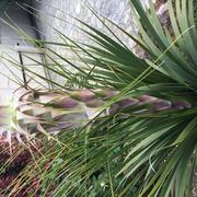 Villeneuve-Minervois 19/04/2021