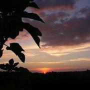 Péguilhan 02/07/2010