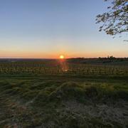 Langoiran 22/04/2021