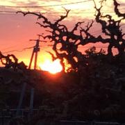 Rivières 25/04/2021