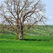 Beauregard-Baret 27/04/2021