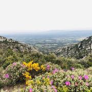 Saint-Rémy-de-Provence 28/04/2021