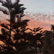 Essaouira 28/04/2021