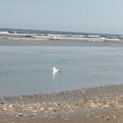 Bray-Dunes 29/04/2021