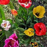 Fontaine-la-Soret 03/05/2021