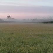 Fonsorbes 03/05/2021