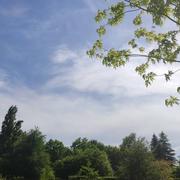 Mont-de-Marsan 08/05/2021