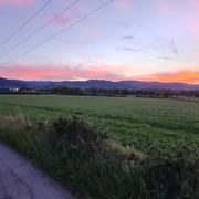 Renaison 08/05/2021