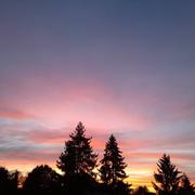 Selles-sur-Cher 09/05/2021